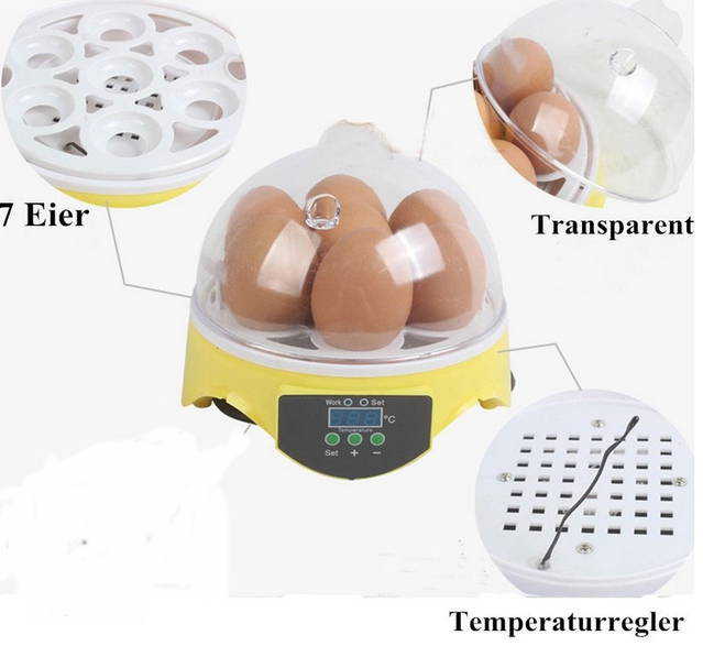 Mini Ei Brutkasten Inkubator Brutautomat Brutmaschine Brutapparat Brutmaschine 7 Eier