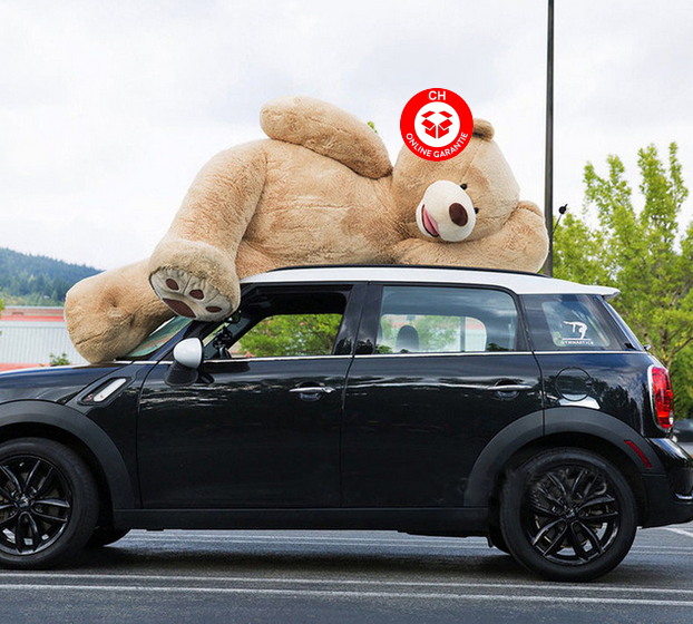 Plsch Br Teddybr Plschteddy Plschbr XXL Plschtier Teddy 260cm XXXL Braun Hellbraun Geschenk Kind Frau Freundin verliebte