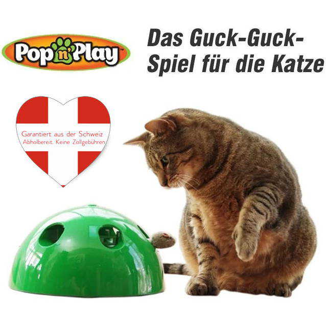 TV Werbung Interaktives Katzenspielzeug Katzen Spielzeug Zuhause Unterhaltung Spass Indoor