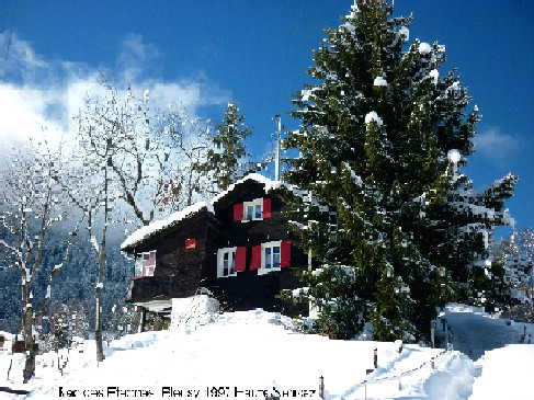 Walliser Alpen(CH) Chalet zu vermieten