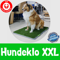  XXL Senioren Welpen WC Hundetoilette Hunde Klo Toilette WC Welpen Klo Stubenrein Gassigehen grosse Hunde Welpe Schweiz Indoor Outdoor