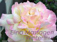 Massage in Winterthur 