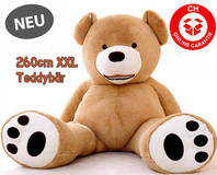 Teddybr XXL Plsch Teddy Br XXXL Kuscheltier Riesenplsch Riesenteddy Teddybr Plsch Tedi Br 260cm Geschenk Frau Freundin Girl Mdchen Weihnachten